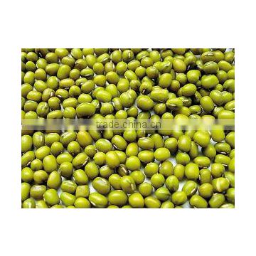 green mung bean