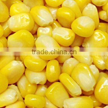 Fresh Sweet Corn (Frozen)