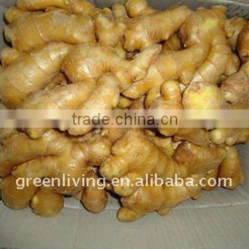 Varietyfresh ginger, air dried ginger, washed ginger