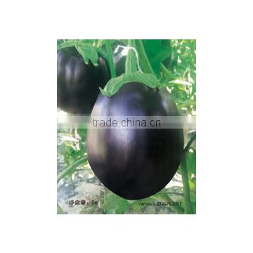 Space Oval Round F1 Eggplant Seeds