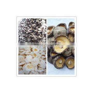 Qingdao Hilda-Jingyi Trading Co., Ltd.