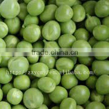 canned garlic green peas price