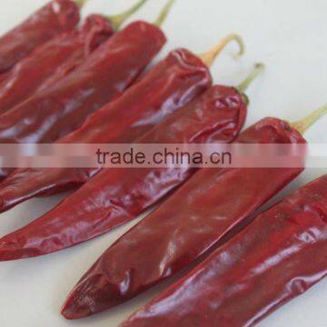 2015 New Crop Chinese dry puya chilli