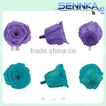 Real Natural Green Preserved Fresh Roses in Bulk