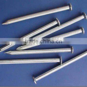 Galvanized Concrete Steel Nails