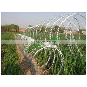 PVC coated razor wire fencing for sale in Belgium market