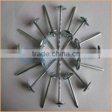Top Quality Galvanized Corrugated Roofing Nails Trusted Chuanghe Suppliers From Com photo-4