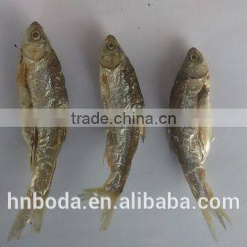 Industrial Cabinet Type Fish Dryer/fish Drying Machine/food Dryer photo-4