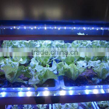 Wholesale 23W 46W 92W Waterproof LED Tube Grow Light photo-6
