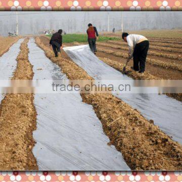 PE Agricultural Mulch Film