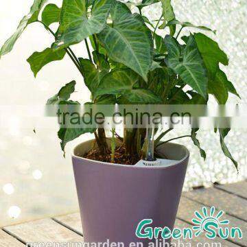 cheap flower pots plant for sale