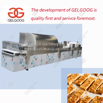 Stainless Steel Hot Sale Protein Bar Making Machine Manufacturer in China photo-3