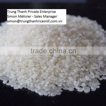 Vietnam Japonica Rice (Calrose Rice) photo-4