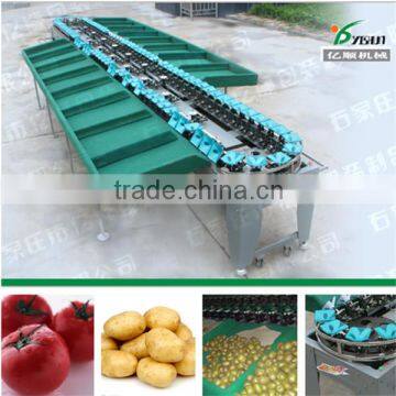 Automatic fruit and vegetable grading machine factory price