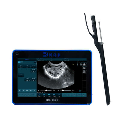 Color Doppler Cattle OPU Veterinary Ultrasound Machine BXL-DB20 photo-3