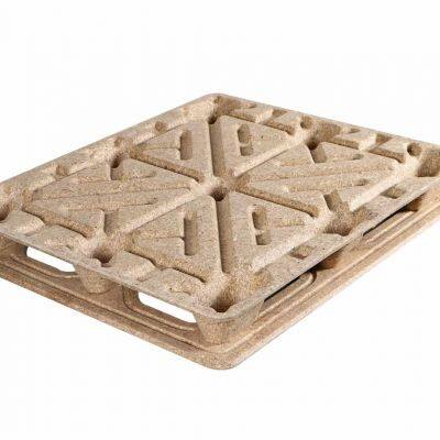 Eco-Friendly Hydraulic Press | High-Performance Molded Pallet Compression Machine for Waste Wood Recycling & Sustainable Manufacturing photo-3