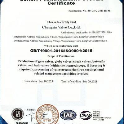 ISO 9001