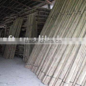 Bamboo Pole