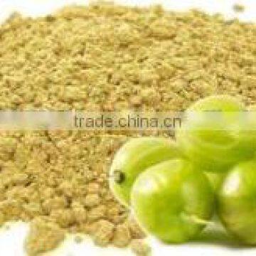 Natural & GMP Certified Amla Powder Seller