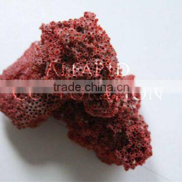 Premium Cleaned Grade Red Sea Corals