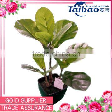 China supplier easy cleaning decorative large indoor plants for sale