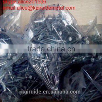 Factory Produce High Quality Common Iron Wire Nail With High Quality and Low Price Used for Building Construction photo-6