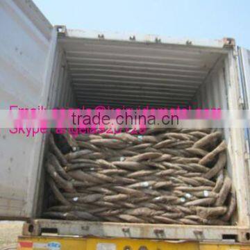 Twist Low Price Electro Galvanized Iron Wire Galvanized Iron Wire Factory photo-3