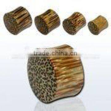 Coconut wood plug