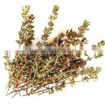 Thyme Oil 30%/40%/50%/60%/70%/80%