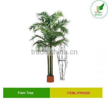 12ft high palm tree for indoor decoration
