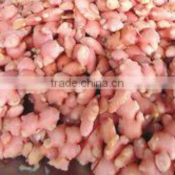 fresh sushi pickled ginger