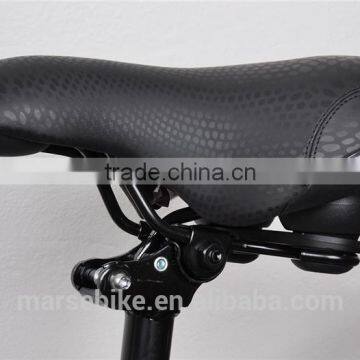 Long Range 250W Motor Suspension Electric Bike