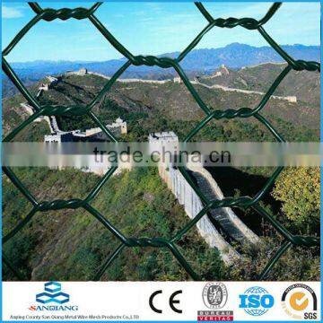 Anping PVC Coated Hexagnal Wire Mesh