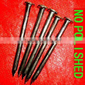 african market big order common nails