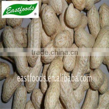 9/11 peanuts in shell from Shandong