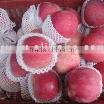 Full blush red Fuji apple