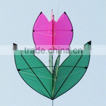 3d nylon kites