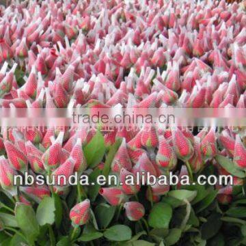 Protective rose foam netting