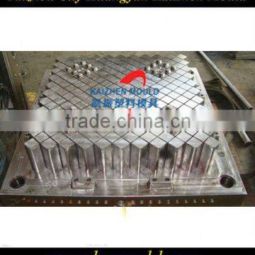 Huge Plastic Injection Tray Mold for Goods
