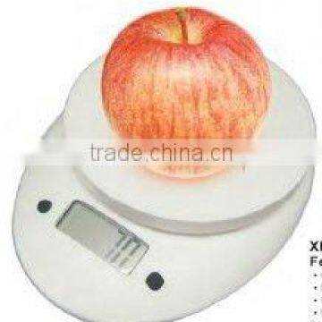 Electronic Kitchen Scale