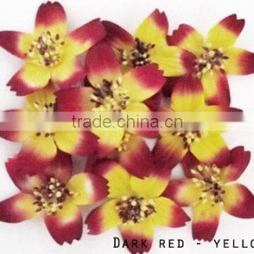 Bulk pack 50 pcs handmade Dark Red Cosmos paper flower