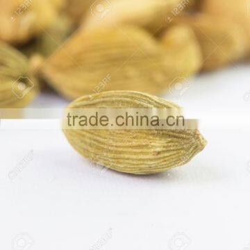 Wholesale Green Cardamom 8 MM photo-2