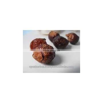 Sapindus Mukorossi / Soap Nut Pods / Soap Nut Powder photo-2