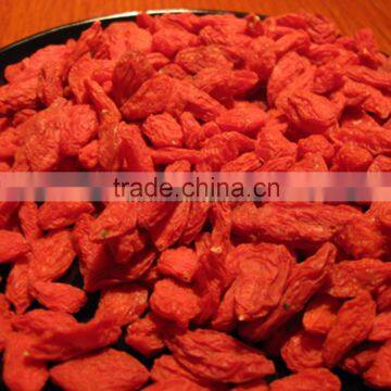 Ningxia dried goji berry extract for wholesale