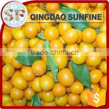 Air Dried Fresh Sweet Kumquat