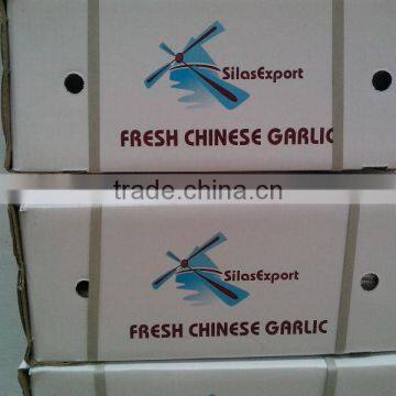 Fresh Garlic/ail Frais photo-3