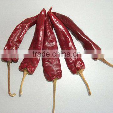 AD Dried Red Chilli HACCP/ GAP/FDA/HALAL photo-2