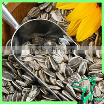 Healthy Chinese Hulled Sunflower Seeds