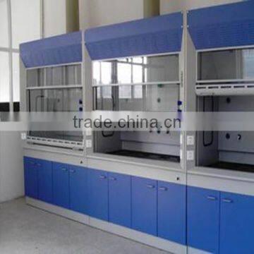 Laboratory Walk in Fume Hoods China Made