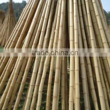 Garden Green Bamboo Poles Cheap photo-2